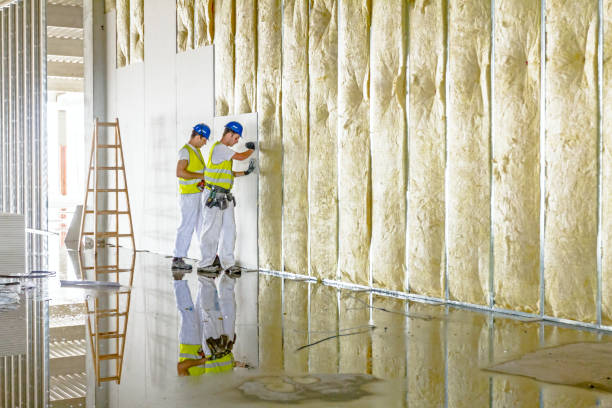Best Residential Insulation Services  in Sleepy Hollow, NY
